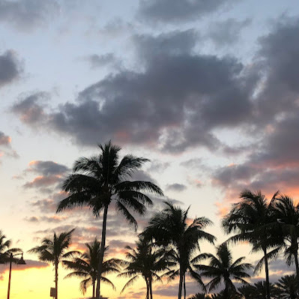 Meet your Posher, Samirah